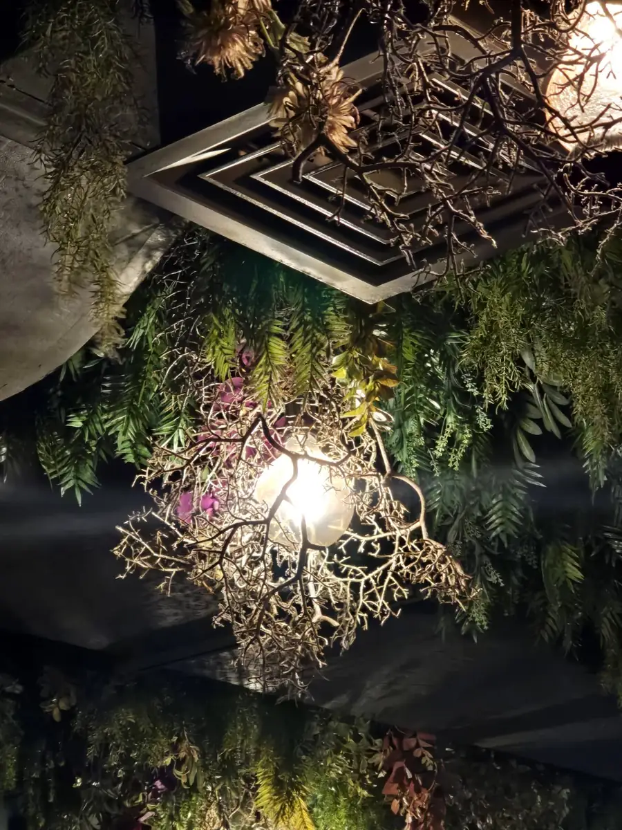 Foliage and dried branches wrapped around a warm hanging bulb on the lounge ceiling